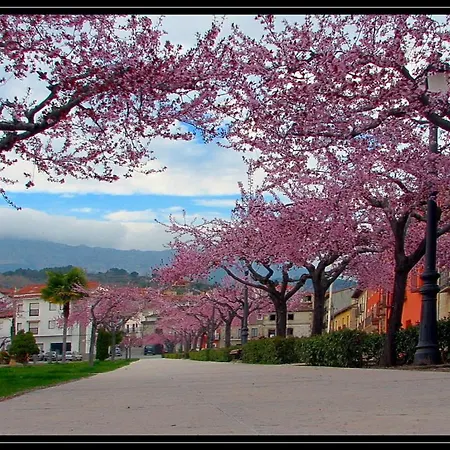 Miragredos *